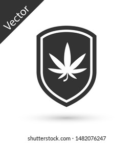 Grey Shield and marijuana or cannabis leaf icon isolated on white background. Marijuana legalization. Hemp symbol.  Vector Illustration