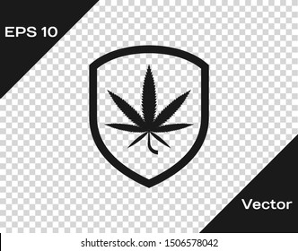 Grey Shield and marijuana or cannabis leaf icon isolated on transparent background. Marijuana legalization. Hemp symbol.  Vector Illustration