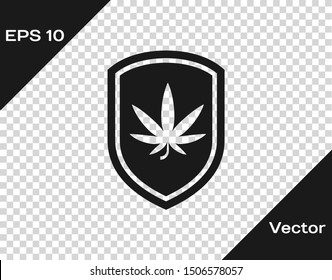 Grey Shield and marijuana or cannabis leaf icon isolated on transparent background. Marijuana legalization. Hemp symbol.  Vector Illustration