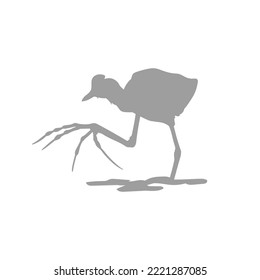 Grey silhouette of the comb-crested jacana on white background. Graphic drawing. Vector illustration.