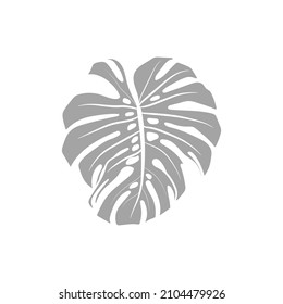 Grey silhouette of monstera leaf on white background. Vector illustration.