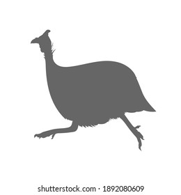 Grey silhouette of a running guinea fowl on white background. Vector illustration. 