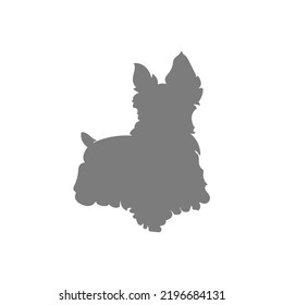 Grey silhouette of the Scottish Terrier on white background. Vector illustration.