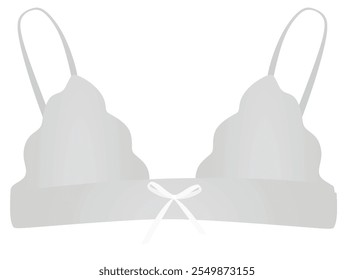 Grey  silk bra. vector illustration
