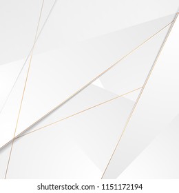 El fondo de lujo abstracto de plata gris con contornos de bronce. Diseño de vectores