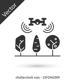 Grey Smart farm with drone control and tree icon isolated on white background. Innovation technology for agricultural company.  Vector Illustration