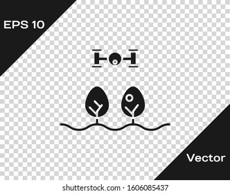Grey Smart farm with drone control and tree icon isolated on transparent background. Innovation technology for agricultural company.  Vector Illustration