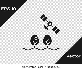 Grey Smart farm with drone control and tree icon isolated on transparent background. Innovation technology for agricultural company.  Vector Illustration