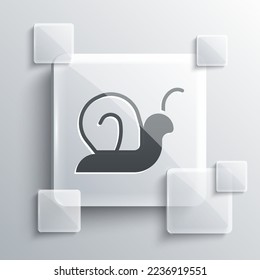 Grey Snail icon isolated on grey background. Square glass panels. Vector