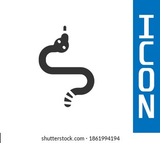 Grey Snake icon isolated on white background.  Vector