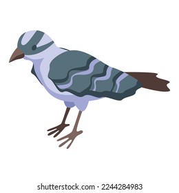 Grey sparrow icon isometric vector. Bird branch. Wing wild