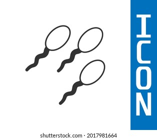 Gray-Sperm-Symbol einzeln auf weißem Hintergrund.  Vektorgrafik