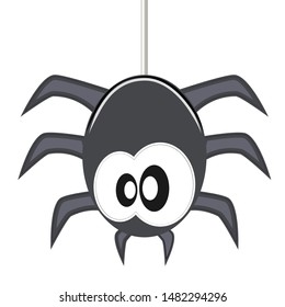 Grey spider vector isolated on the web