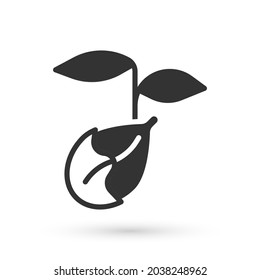 Grey Sprout icon isolated on white background. Seed and seedling. Leaves sign. Leaf nature.  Vector
