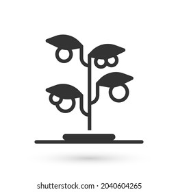 Icono de brote gris aislado en fondo blanco. Semillas y plántulas. Deja la señal. Naturaleza foliar.  Vector