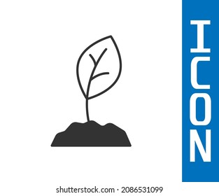 Grey Sprout icon isolated on white background. Seed and seedling. Leaves sign. Leaf nature.  Vector