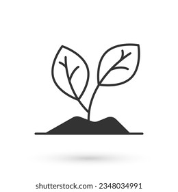 Icono de brote gris aislado en fondo blanco. Semillas y plántulas. Deja la señal. Naturaleza foliar.  Vector