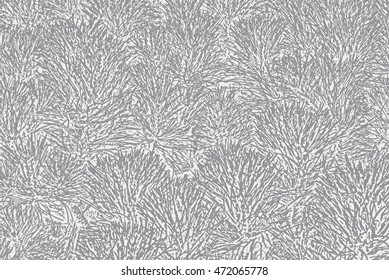 Grey spruce texture. Abstract nature stylish background. Vector illustration.