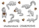 Grey Squirrel Isolated Vector Cartoon Character Various Poses