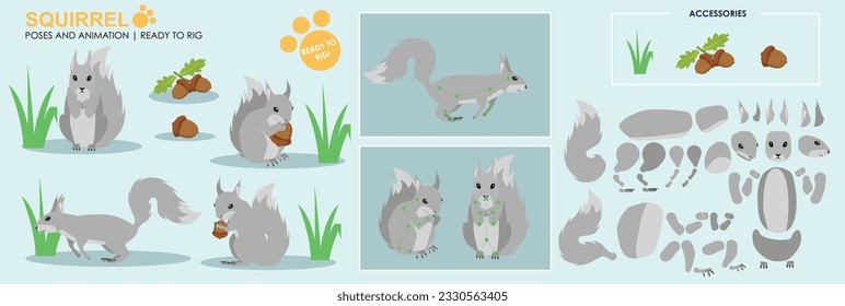 Grey Squirrel ready to animate with multiple poses and angles. Cut woodland creatures rig ready, running, sitting, eating. Collection vector set character for animation