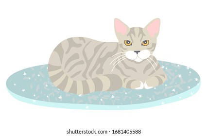 Grey striped cat lying on blue rug with star pattern isolated on white. Fluffy, furry pet resting , Sweet home concept flat cartoon vector illustration