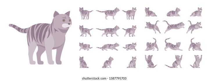 Grey Striped Cat Set. Active Healthy Kitten With Mackerel Tabby Colored Fur, Funny Pet, Playful Companion. Vector Flat Style Cartoon Illustration Isolated, White Background, Different Views And Poses