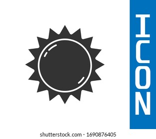 Gray Sun Symbol einzeln auf weißem Hintergrund. Sommersymbol. Guten Sonnentag! Vektorillustration-Illustration