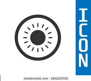 Grey Sun icon isolated on white background. Summer symbol. Good sunny day.  Vector