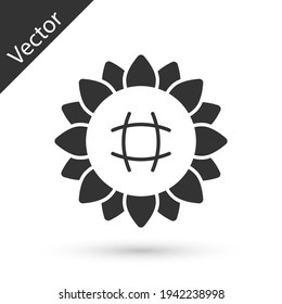 Grey Sunflower icon isolated on white background. Vector