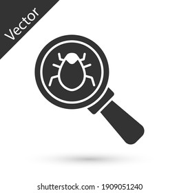 Grey System bug concept icon isolated on white background. Code bug concept. Bug in the system. Bug searching. Vector.