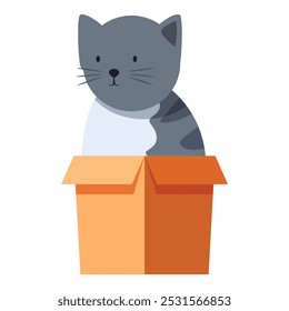 Grey tabby cat with white chest sitting inside open cardboard box