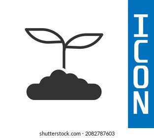 Grey Tea leaf icon isolated on white background. Tea leaves.  Vector