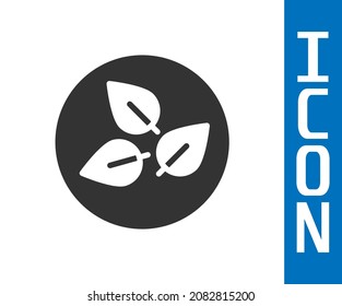 Grey Tea leaf icon isolated on white background. Tea leaves.  Vector