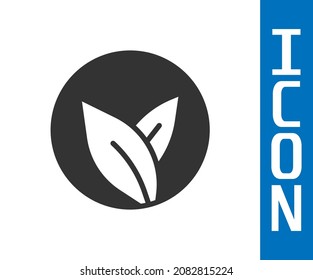 Grey Tea leaf icon isolated on white background. Tea leaves.  Vector