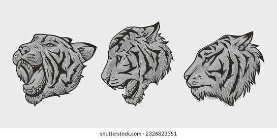 grey tiger head vector illustration with shading consisting of three images