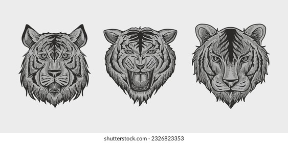 grey tiger head vector illustration with shading consisting of three images