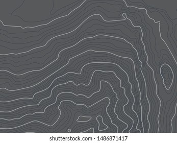 Grey topographic map vector design