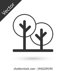 Grey Tree icon isolated on white background. Forest symbol. Vector