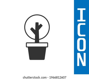 Grey Tree icon isolated on white background. Forest symbol.  Vector