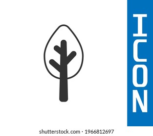 Grey Tree icon isolated on white background. Forest symbol.  Vector