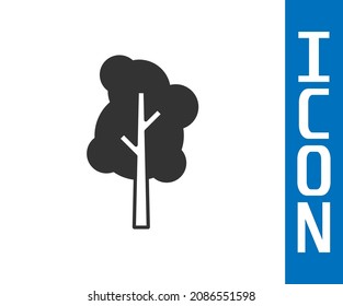 Icono de Árbol gris aislado en fondo blanco. Símbolo de bosque.  Vector
