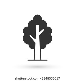 Grey Tree icon isolated on white background. Forest symbol.  Vector