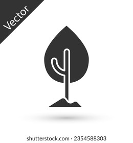 Grey Tree icon isolated on white background. Forest symbol.  Vector