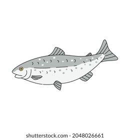 Grey trout fish drawing isolated on white background - sea animal with open eye hand drawn in doodle style. Flat vector illustration.