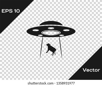 Grey UFO abducts cow icon isolated on transparent background. Flying saucer. Alien space ship. Futuristic unknown flying object. Vector Illustration