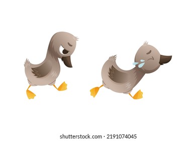 Grey Ugly Duckling from Fairytale Feeling Sad and Crying Vector Set