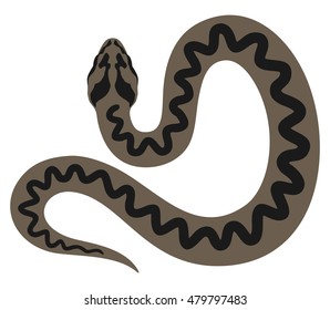 Grey viper snake vector