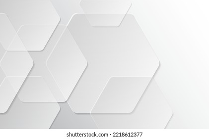 Grey and White Abstract background geometry shine and layer element concept hexagon structure vector illustration.