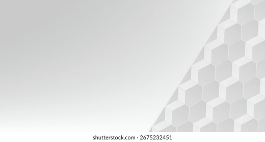 Grey and White Abstract background geometry shine and layer element concept hexagon structure vector illustration.eps.10