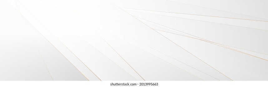 Grey and white corporate abstract background with golden bronze lines. Vector modern geometric banner design